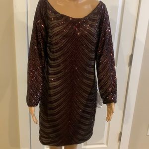 Beautiful Sequin Dress